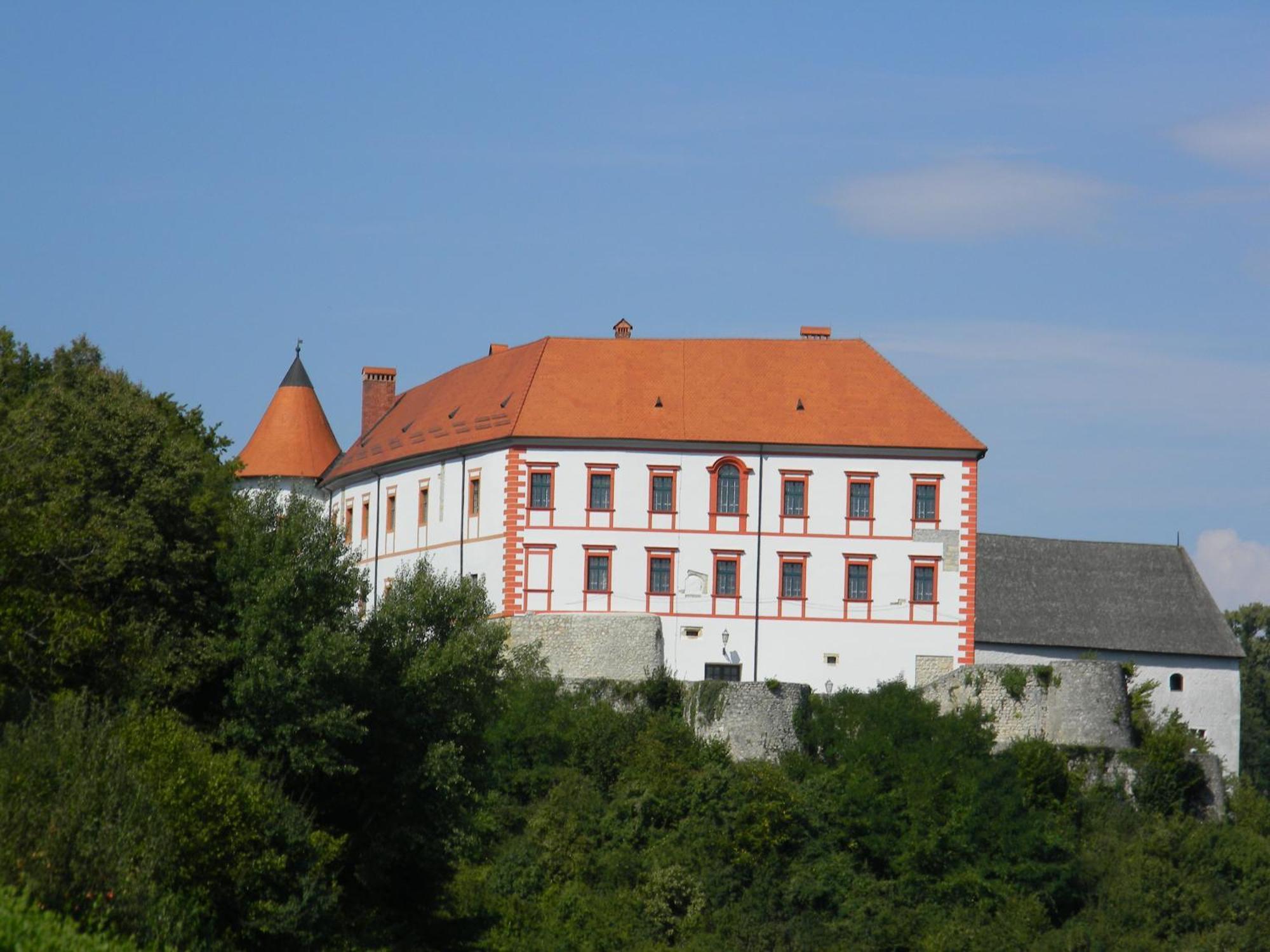 Slavek Apartment *